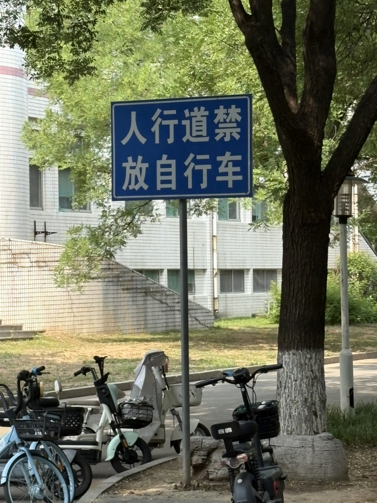 不能停车